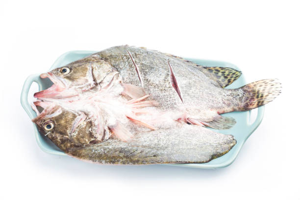istock A piece of fresh osmanthus fish on a plate 1248228110