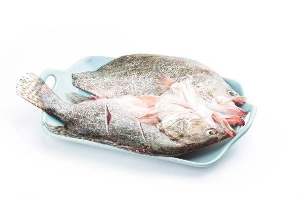 istock A piece of fresh osmanthus fish on a plate 1248228114