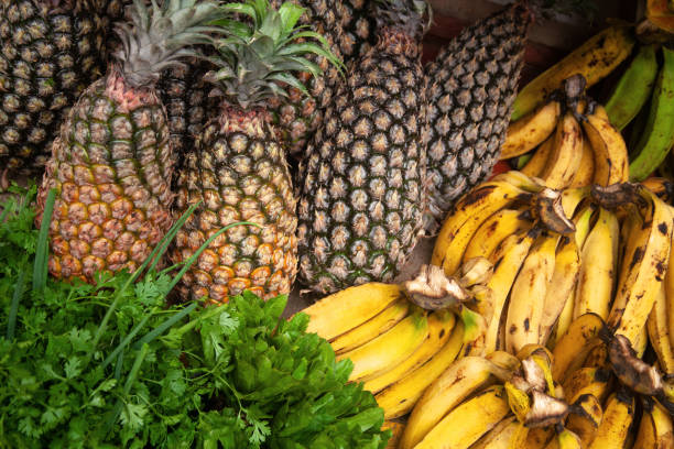 Fruit stand on the side of the road in Brazil with a variety of fruit