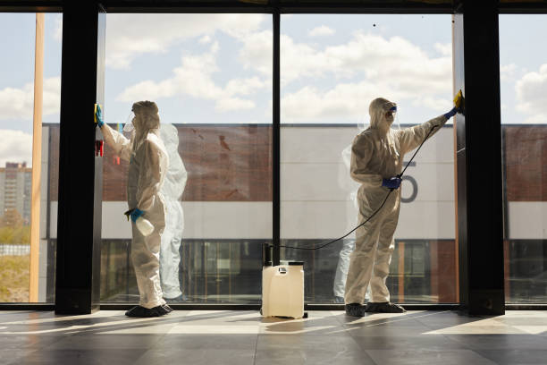 istock Workers doing Chemical Cleaning Indoors 1248235511