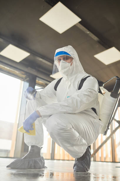 istock Chemical Cleaning Worker Indoors 1248235523