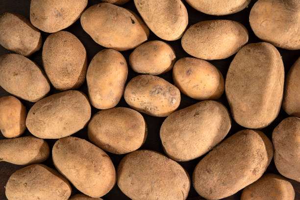 Close-up of potato