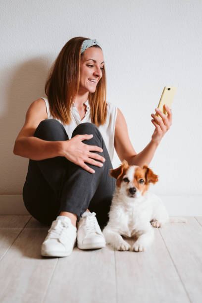 istock young woman at home using mobile phone, cute small dog besides. work from home concept 1248240449
