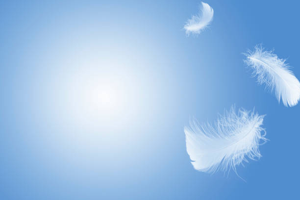 istock Light fluffy a white feathers floating in the air with copy space. 1248240452