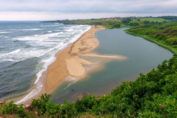 istock Beautiful wild beach at the Black Sea coast 1248240539