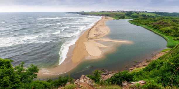 istock Beautiful wild beach at the Black Sea coast 1248240681