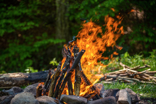 istock Campfire against the background of the spring forest. 1248242988
