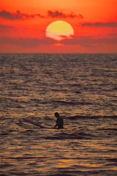 Woman sitting on a surfboard in front of a sunset in the ocean in Bali