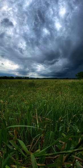 Thunderstorm in a field