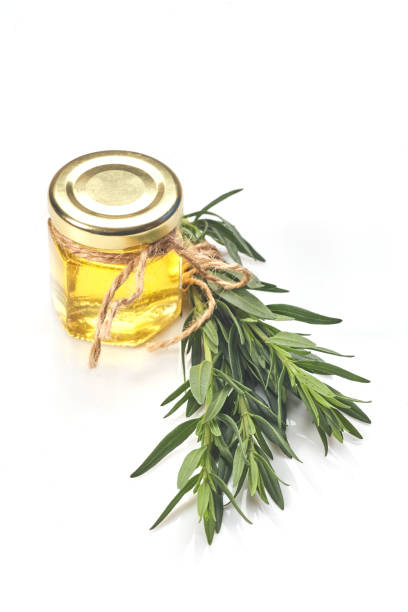 istock Bottle with essential oil and rosemary 1248246074