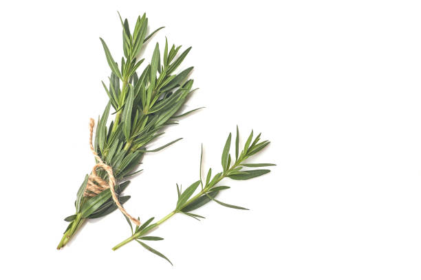 istock Fresh green rosemary isolated on white, top view. 1248246612
