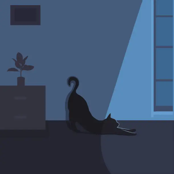 Vector illustration of Interior room at night