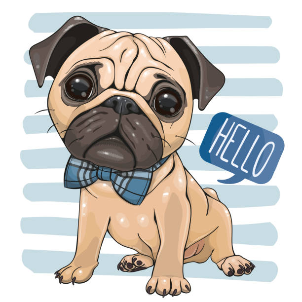 Cartoon Pug Dog with a bow tie isolated on a striped background Cute Cartoon Pug Dog with a bow tie isolated on a striped background angry dog barking cartoon stock illustrations