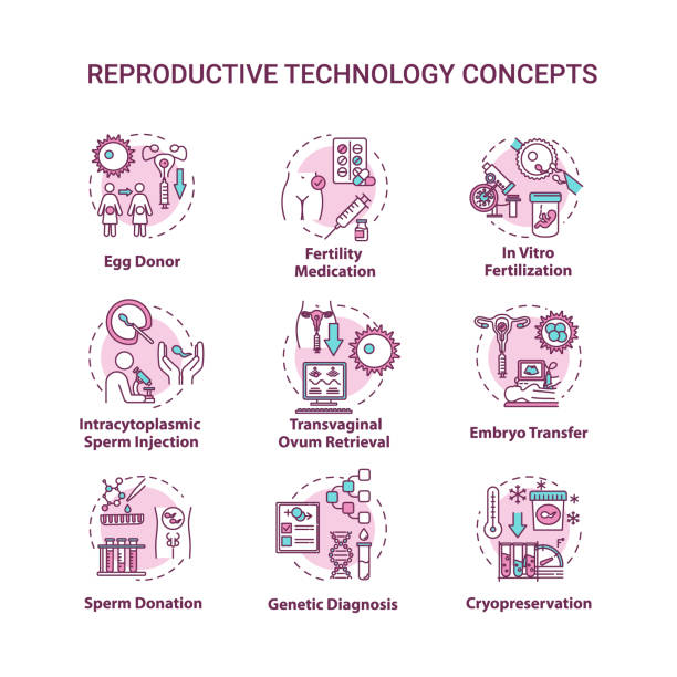 illustrations, cliparts, dessins animés et icônes de ensemble d’icônes de concept de technologie de reproduction. fécondation in vitro. oeuf, don de sperme. illustrations de couleur de ligne mince d’idée alternative de grossesse. dessins de contour isolés vectoriels. coup modifiable - cryobiology