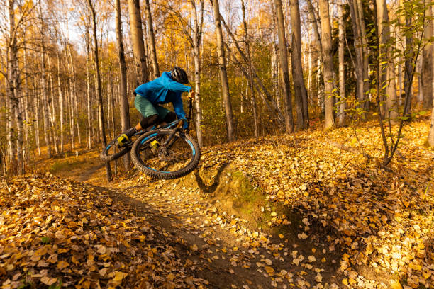 istock Mountain biker preforms stunt in autumnal forest 1248260748