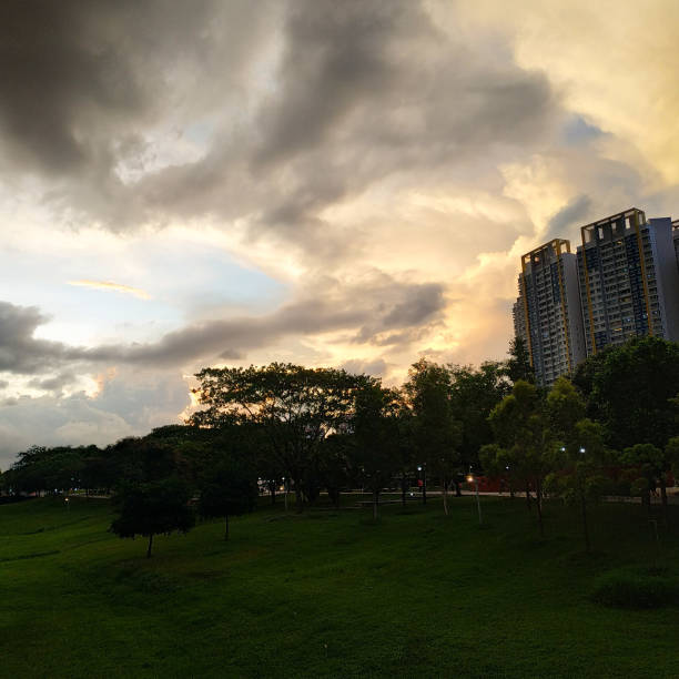 istock golden hour in the park at dusk 1248260981