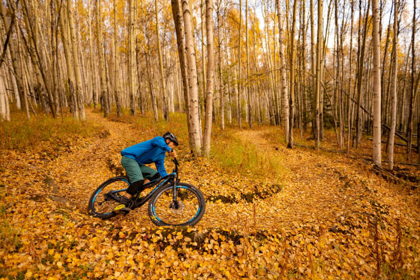 istock Mountain biker rides along trail in autumnal forest 1248261285