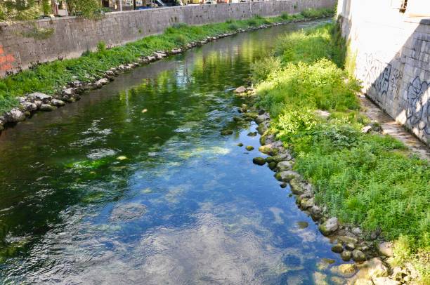 istock Calm urban river mirrored green environment and clouds 1248262038