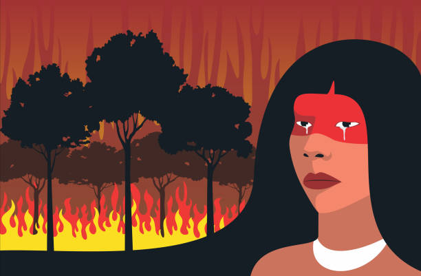 ilustrações, clipart, desenhos animados e ícones de amazônia em chamas - amazon com illustrations