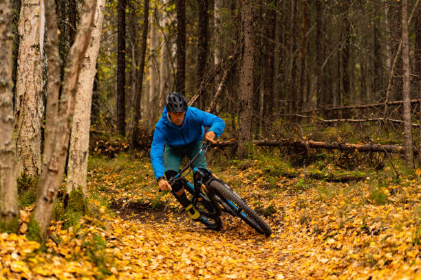istock Mountain biker rides along trail in autumnal forest 1248264729