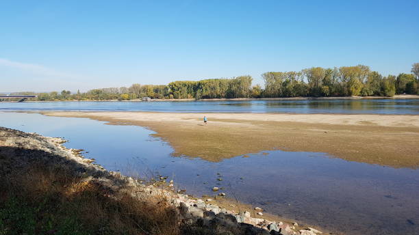 istock Low water in the rhine 1248269443