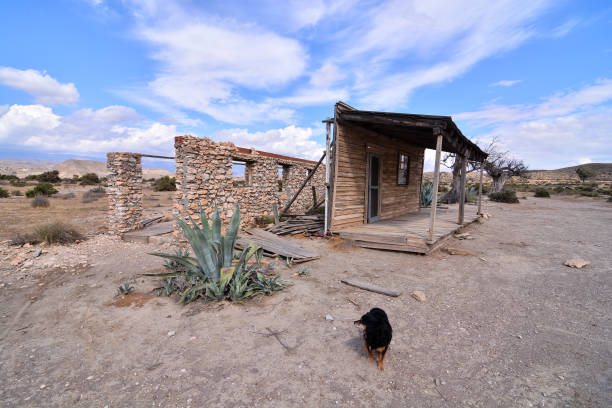 View of the Desert Tabernas in Almeria Province Spain