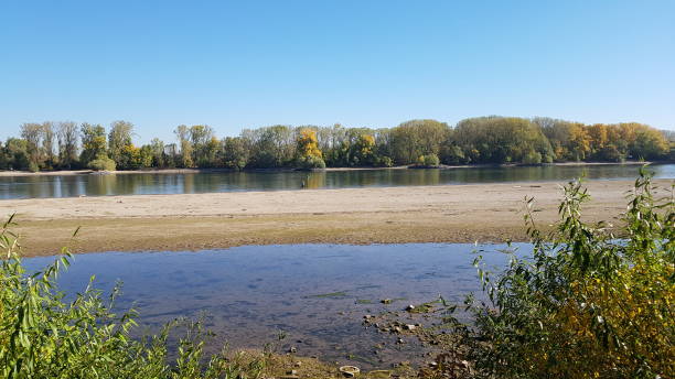 istock Low water at the rhine 1248269823