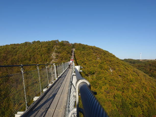 istock Geierlay suspension bridge 1248269847