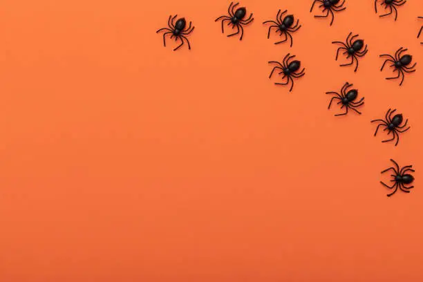 Photo of Modern black and orange invitation card background. Halloween concept