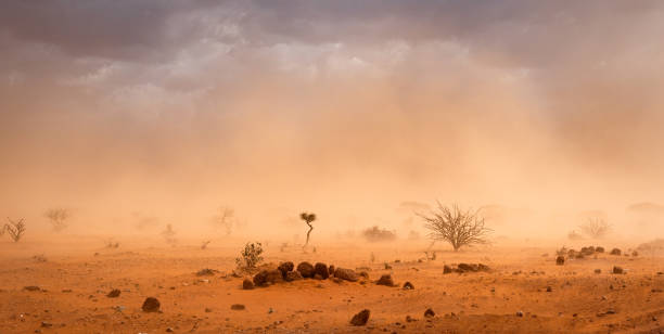 Dusty sandstorm in refugee camp