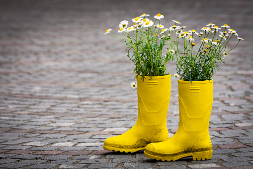 A pair of bright yellow rain boots with daisies on the cobbled street.