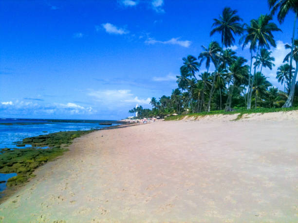istock Praia do Forte, Bahia State, Brazil 1248277606