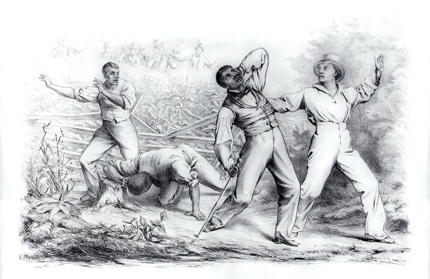 Effects of the Fugitive Slave Law (1850) Vintage illustration shows a group of four black men, possibly freedmen, ambushed by a posse of six armed whites in a cornfield. The Fugitive Slave Act passed by Congress in September 1850 allowed slave-hunters to seize alleged fugitive slaves without due process of law and prohibited anyone from aiding escaped fugitives or obstructing their recovery. The law threatened the safety of all blacks, slave and free, and forced many Northerners to become more defiant in their support of fugitives. american slavery stock illustrations