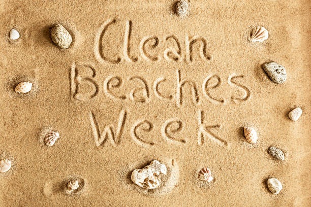 istock Ecology - clean beaches week. Eco initiative name on the sand. 1248282500