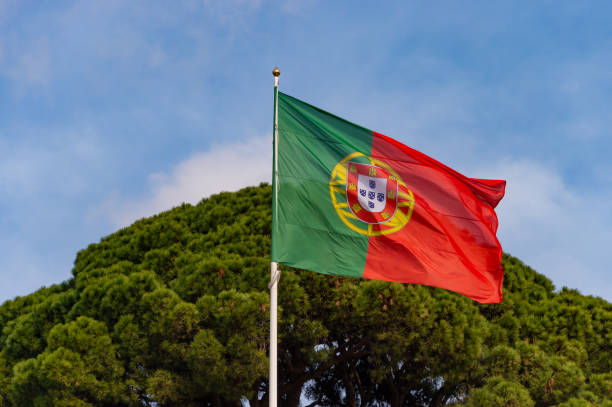 istock Portuguese flag waving in the wind 1248285587