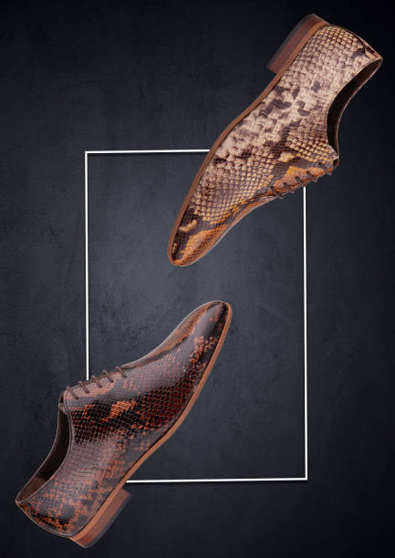 sapatos masculinos clássicos de couro de cobra artesanal - couple gold pair vertical - fotografias e filmes do acervo