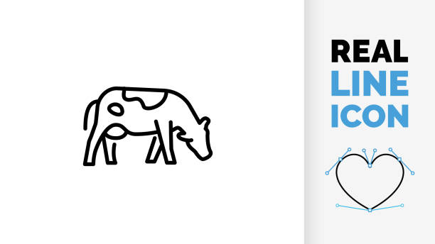 ilustrações, clipart, desenhos animados e ícones de ícone de linha editável de uma vaca de visão lateral - fêmea de mamífero