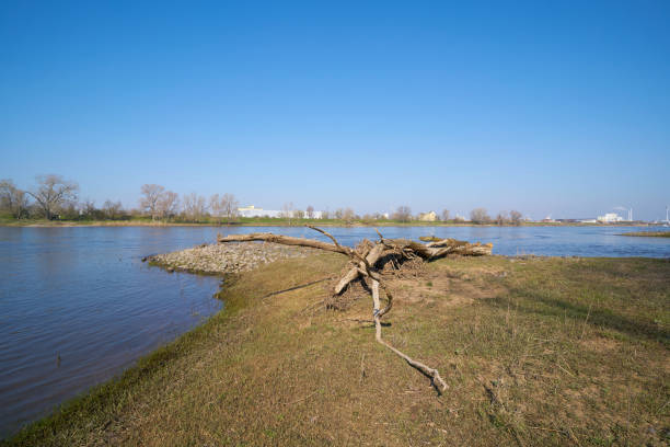 The river Elbe near Magdeburg. In the background the industrial area Rothensee