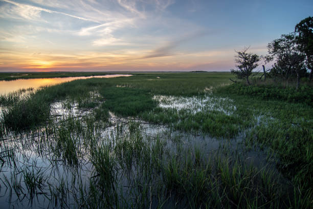 istock Hunting island south carolina beach scenes 1248292637