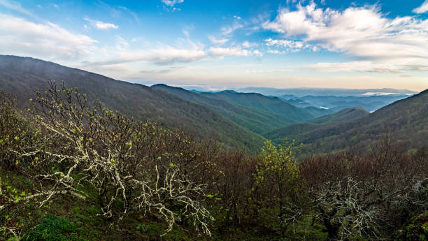 istock blue ridge mountains near mount mitchell and cragy gardens 1248293178