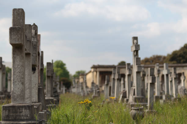 istock Tombstones in Brompton Cemetery 1248295453