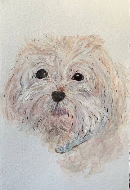 istock Watercolor dog portrait 1248297079