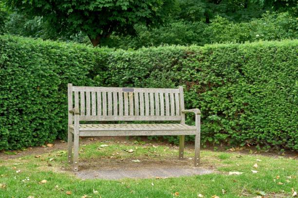 istock Wooden bench in the park 1248302128