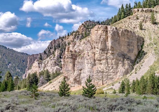 istock yellowstone national park in wyoming 1248302458