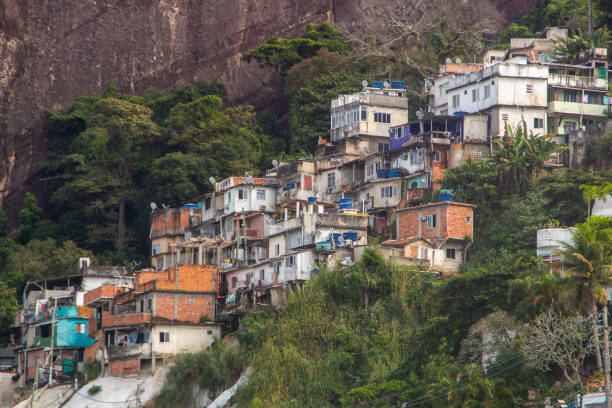 istock slum sky farm in Rio de Janeiro 1248302503