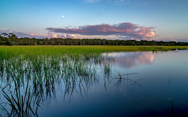 istock Hunting island south carolina beach scenes 1248302724