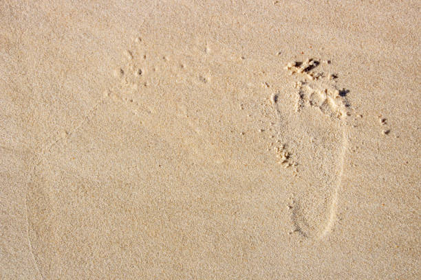 istock footprint in the sand at Copacabana beach 1248302748