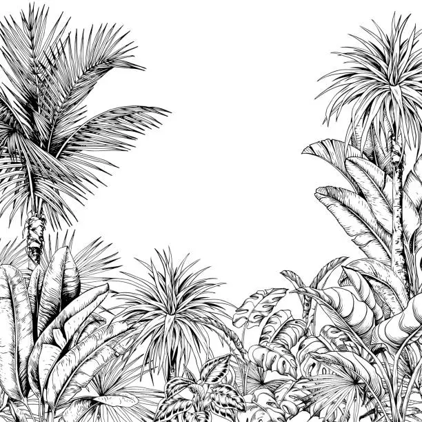 Vector illustration of Black and white card with coconut palm trees and tropical lush foliage.