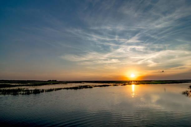 istock Hunting island south carolina beach scenes 1248303403