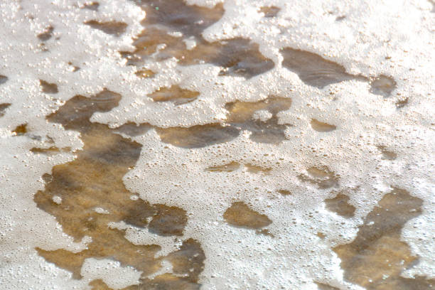 istock white foam of a wave at leblon beach in Rio de Janeiro 1248303595